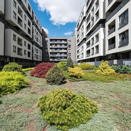 Center Navyblue Luxury Krakau